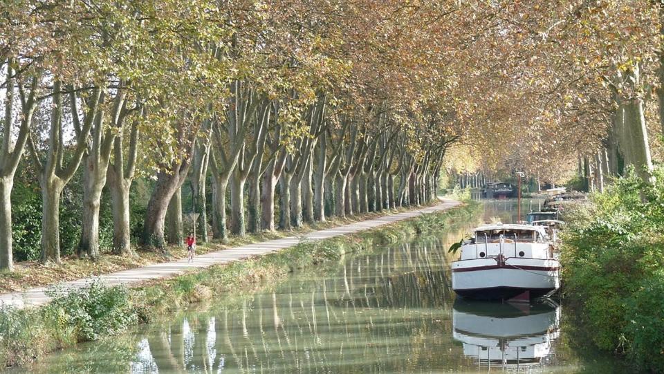 Les Gardenias Panzió Toulouse Kültér fotó